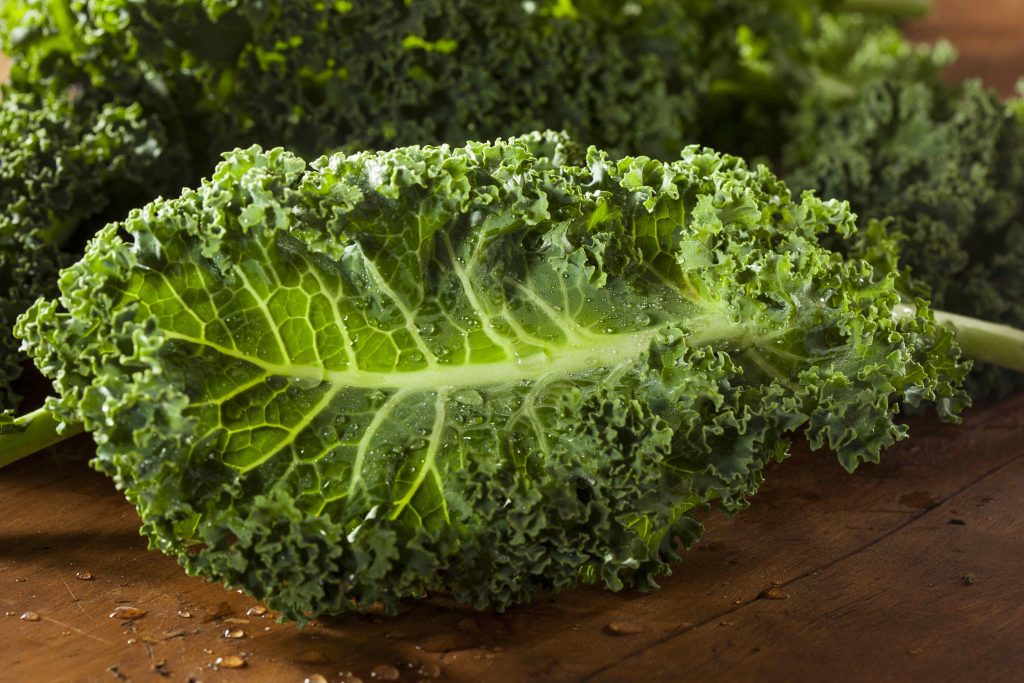 Superalimento Couve Kale